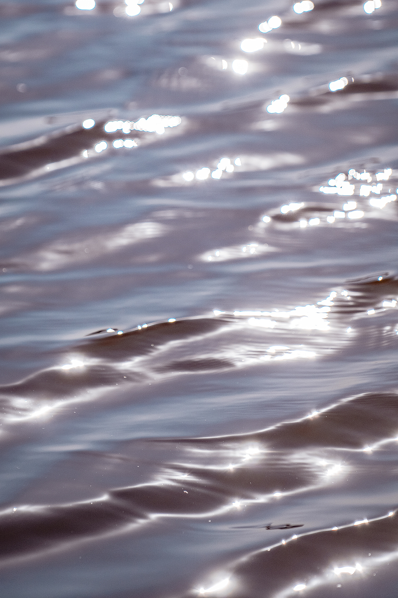 在田间,感受风的气息