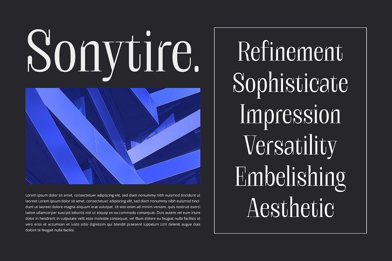 经典优雅时尚画册杂志排版封面标题装饰衬线英文字体（图ZMzY3MzQ2MTU2） - 字体/字形 - 站酷设计师最西文集原创素材 - 站酷ZCOOL