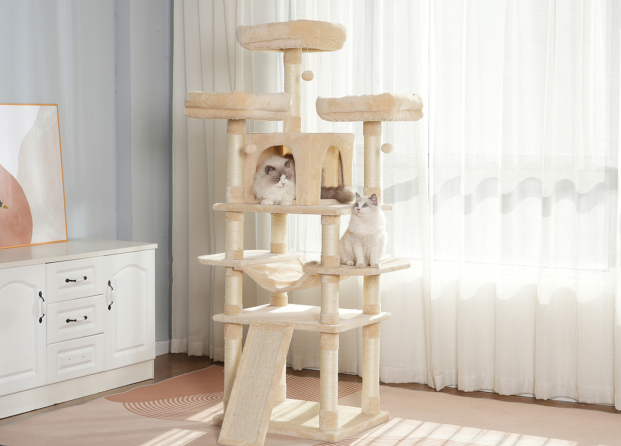 亚马逊产品摄影广告视频拍摄制作详情设计主图A+后期排