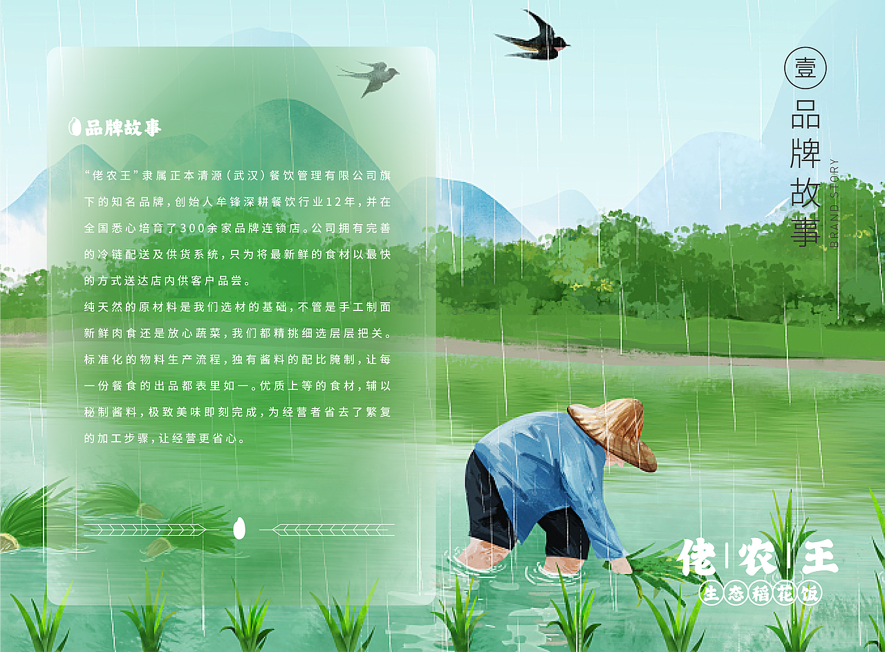 佬农王生态稻花饭品牌手册