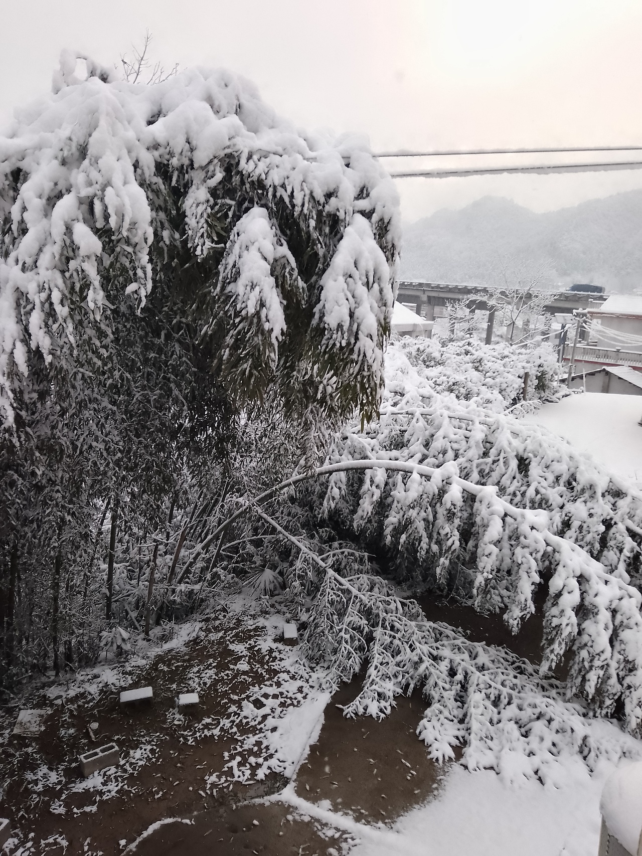 家乡的雪-湖南湘西（图ZMzU1MzY2NzY0） - 风光摄影 - 站酷设计师寻找彩虹海原创素材 - 站酷ZCOOL