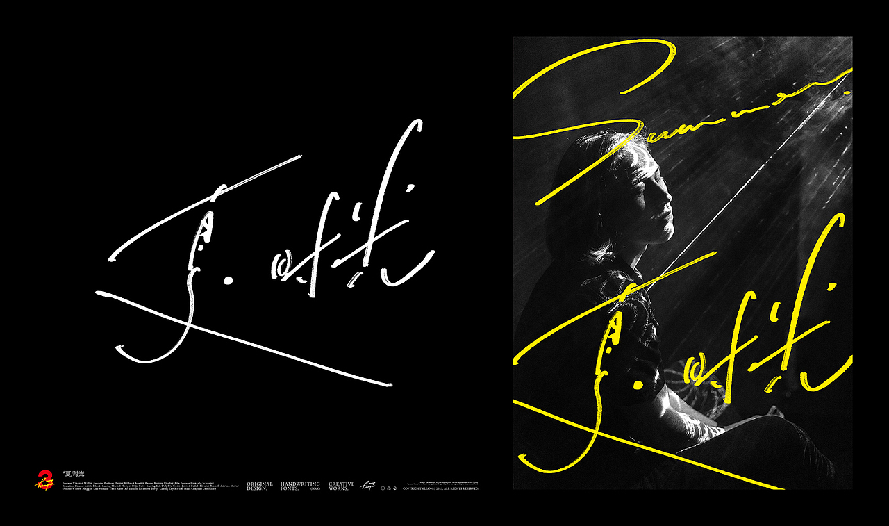 手写字体设计呈现VOL.01