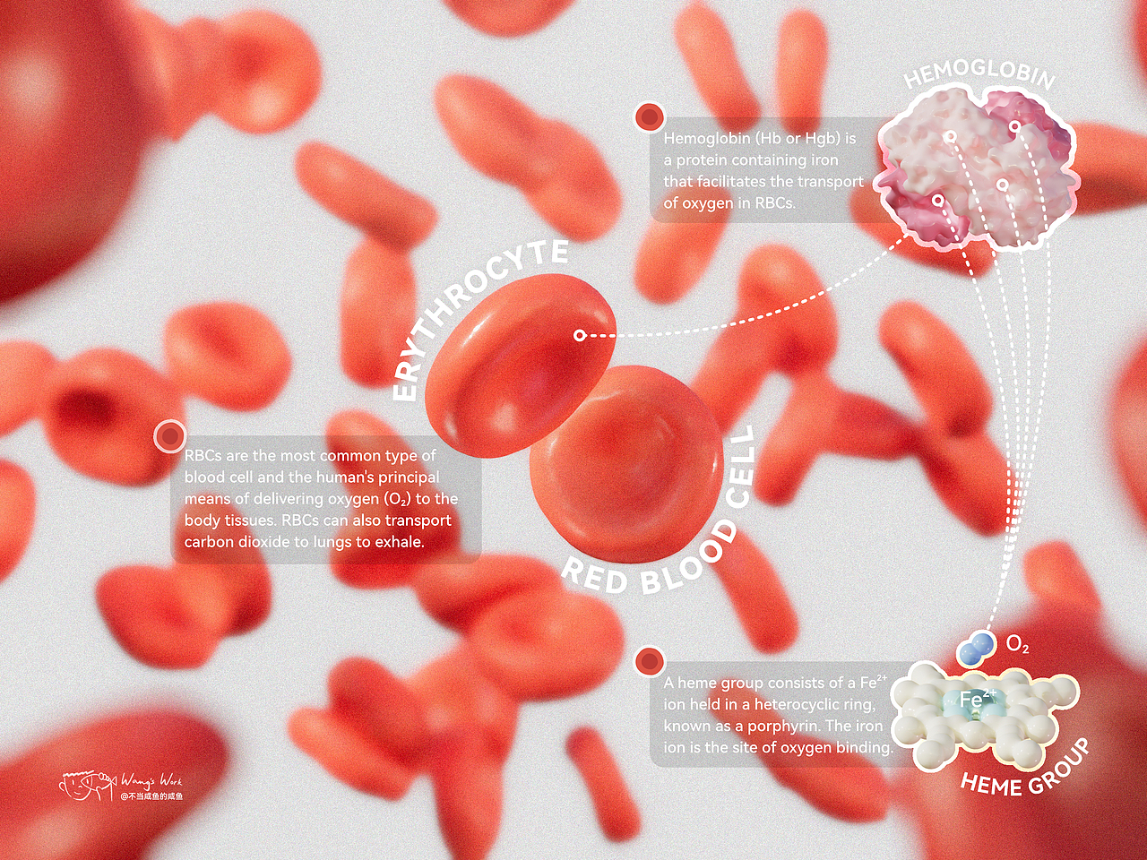 2023医学可视化作品合集（图ZMzU5MjA1MzI0） - 创作习作 - 站酷设计师不当咸鱼的咸鱼原创素材 - 站酷ZCOOL