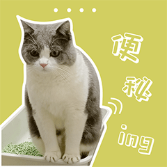 叮当的单身生活（图ZMzEyODE1MjA0） - 网络表情 - 站酷设计师runningPP原创素材 - 站酷ZCOOL
