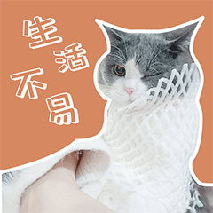 叮当的单身生活（图ZMzEyODE1MTYw） - 网络表情 - 站酷设计师runningPP原创素材 - 站酷ZCOOL
