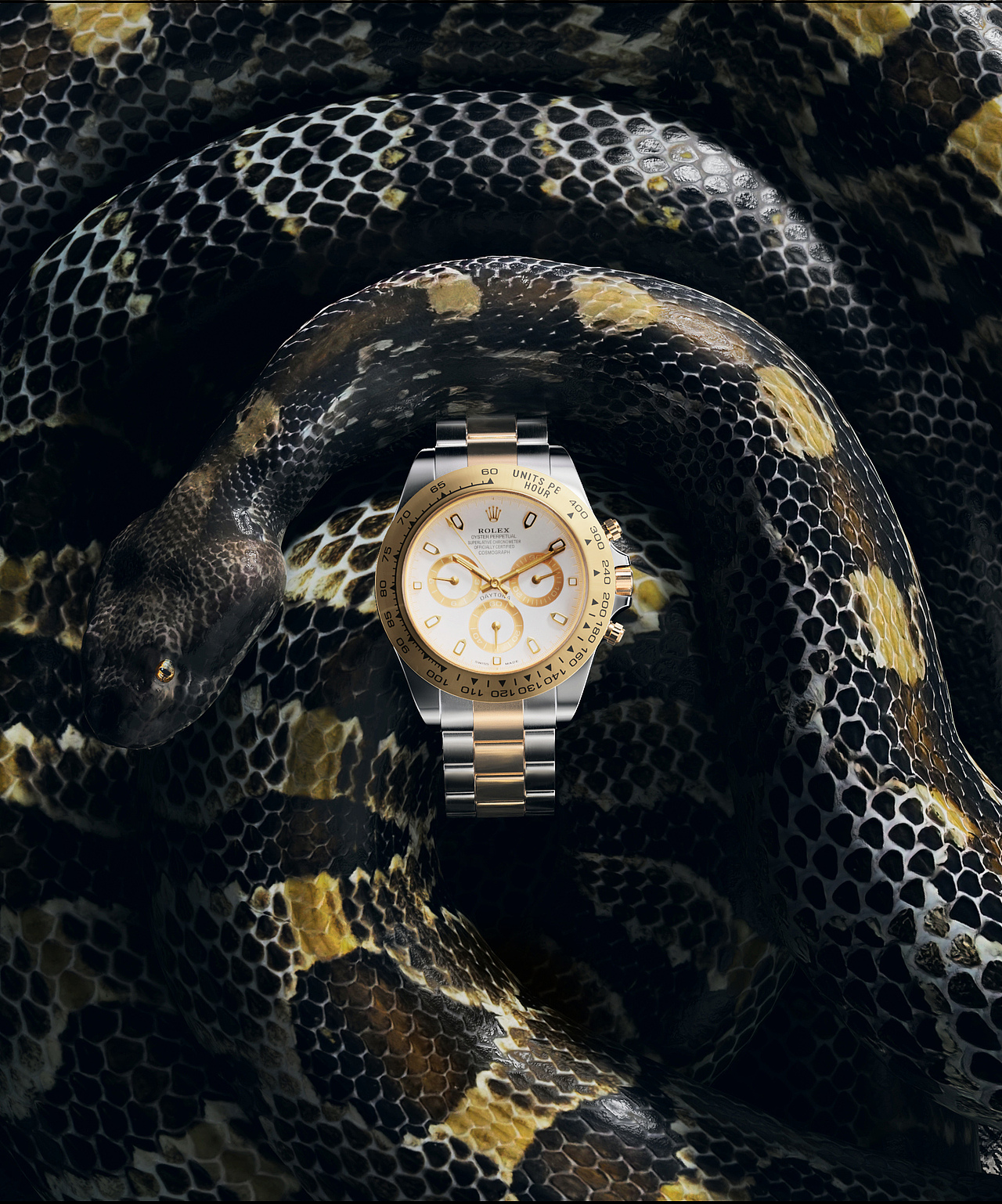 Blender静帧尝试（图ZMjgxNzE4Njky） - 场景 - 站酷设计师建模届的乔碧萝原创素材 - 站酷ZCOOL