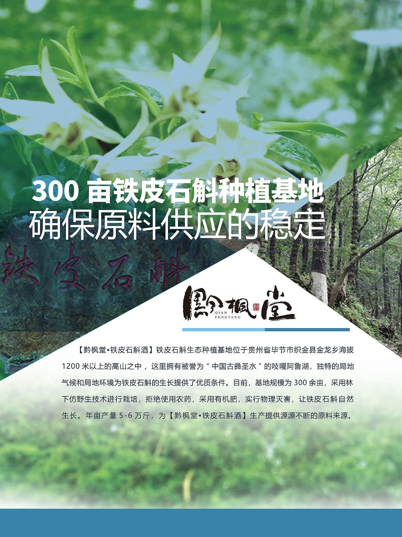 黔枫堂办公室软装（图ZMjM0MjE4MTgw） - 海报 - 站酷设计师张狂的青春原创素材 - 站酷ZCOOL