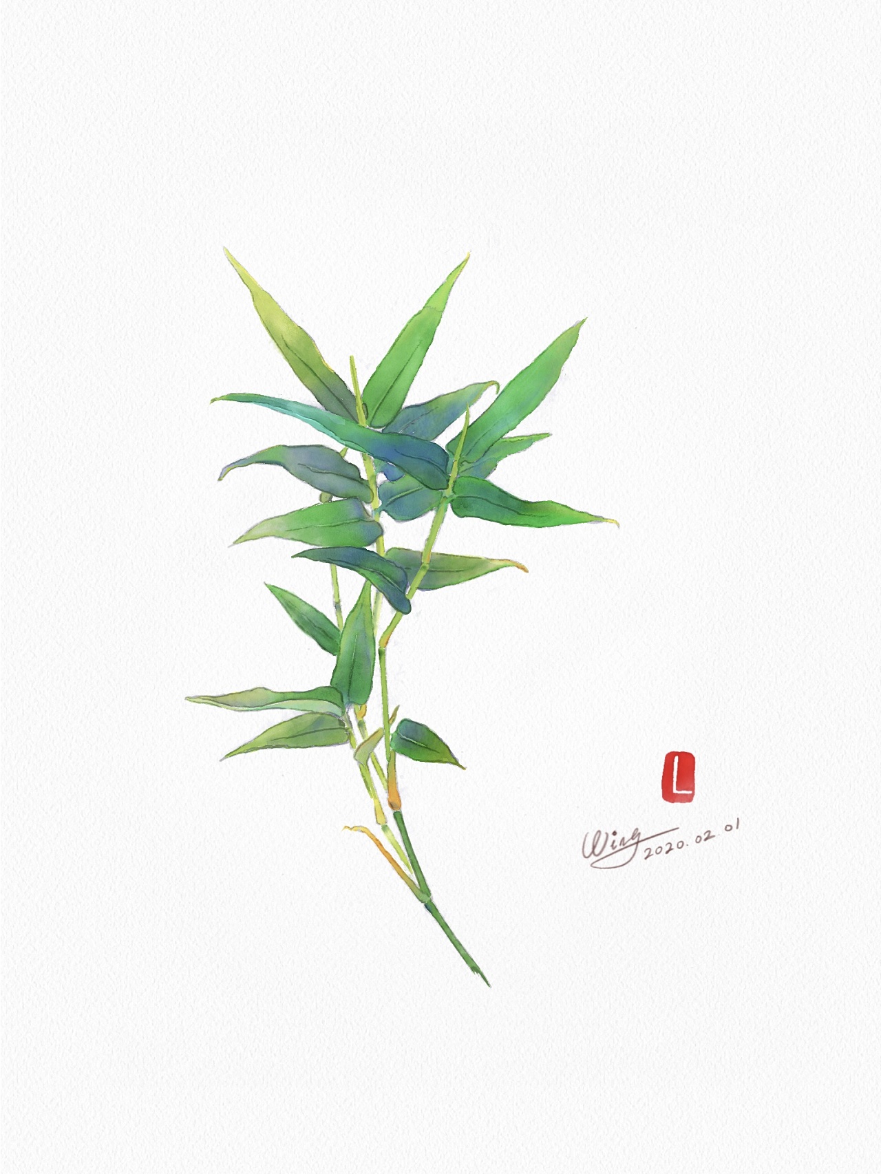 竹- 原创作品 - 站酷(zcool)