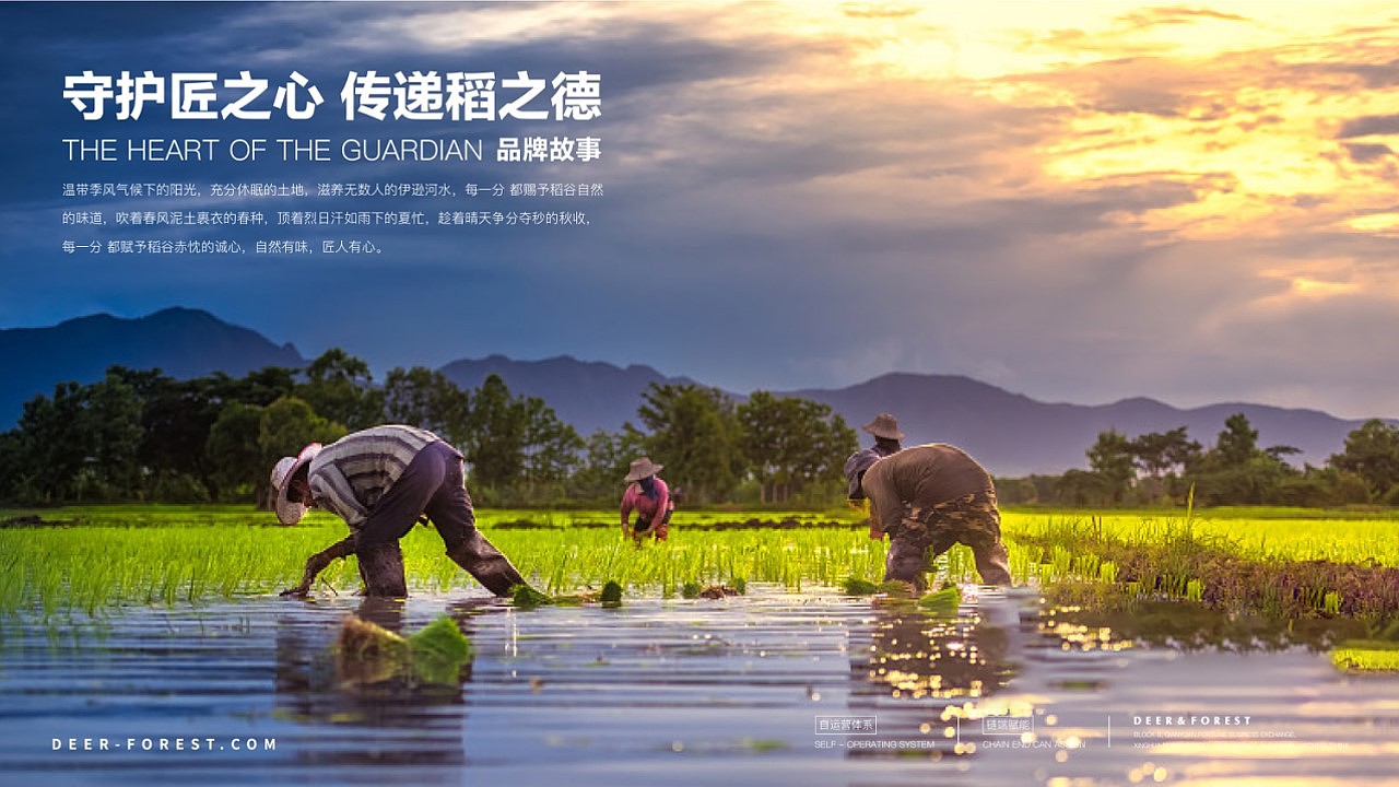 米业全案策划IP延展品牌设计#秉晟文化#