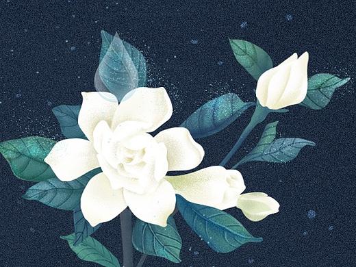 百雀羚三生花 ——打卡小程序主题皮肤设计