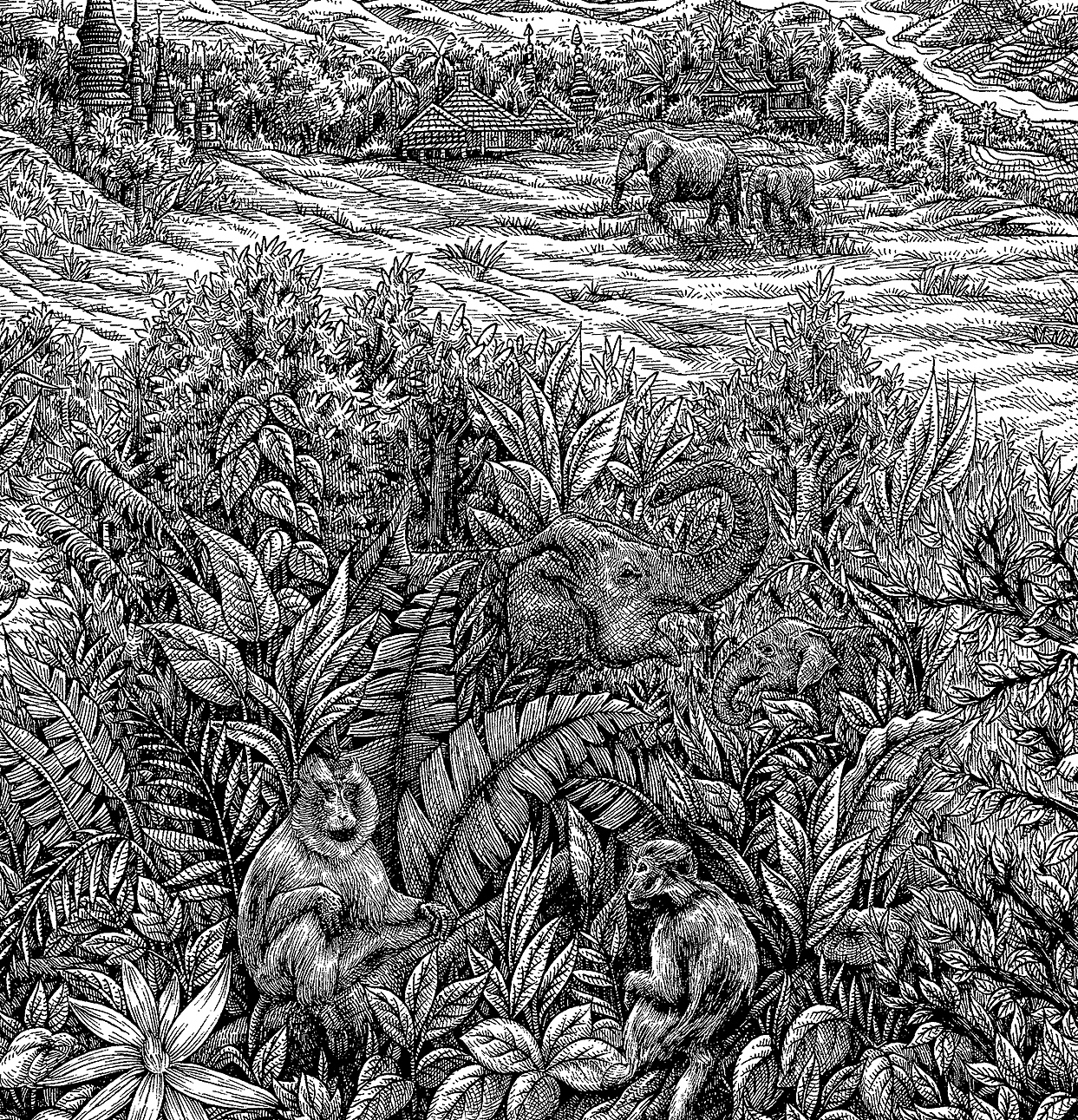 《七彩云南茶》手绘作品（图ZMjY2MzcwNzQ0） - 商业插画 - 站酷设计师傅淳强画者之旅原创素材 - 站酷ZCOOL