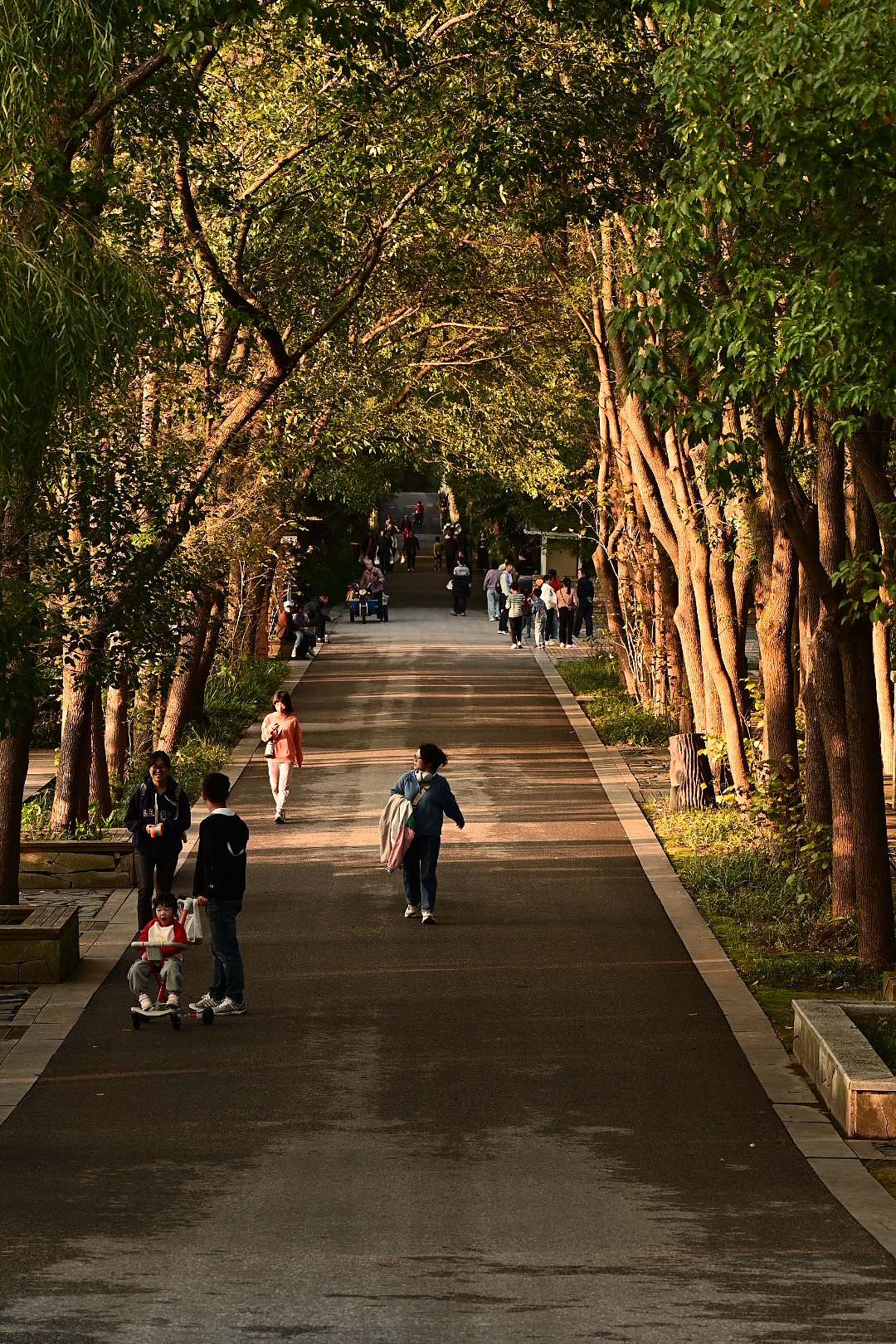 摄影小记📸(^_^)