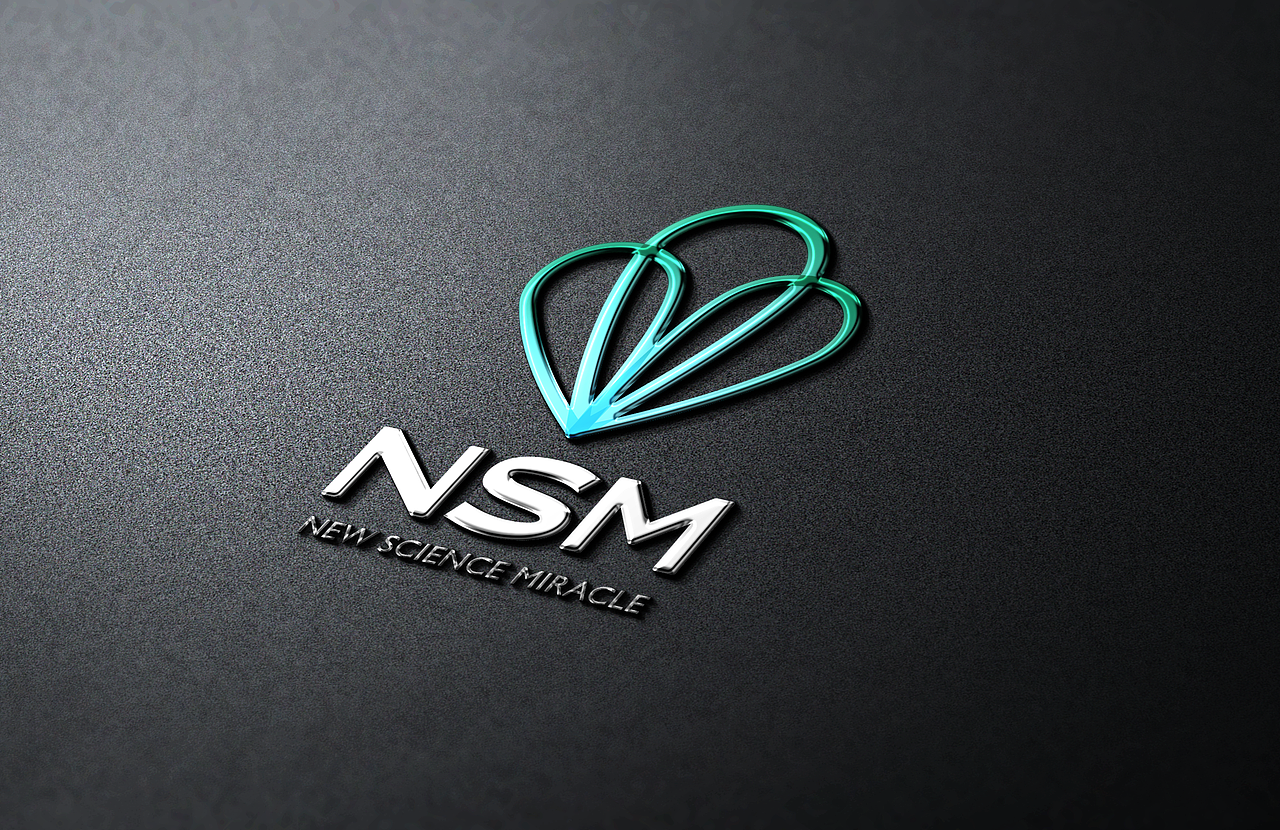 NSM-LOGO设计（图ZMTMwNTM0NTY=） - 品牌 - 站酷设计师FMunique原创素材 - 站酷ZCOOL