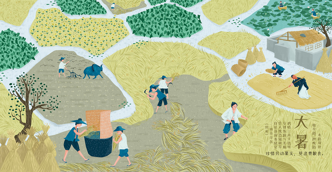 【大暑】水稻双抢(收早稻、种晚稻)。“禾到大暑日夜黄”,“大暑不割禾,一天少一箩”。在长江中下游地区,早稻一般7月中下旬收获,收完早稻要赶紧接着种植晚稻,俗称“双抢”。稻桶的使用方法是双手抓紧稻子末端,用力朝稻桶的角落处甩去,将稻谷分离出来。稻桶的三面用竹篾编织的围栏遮住,防止谷粒飞到外面。