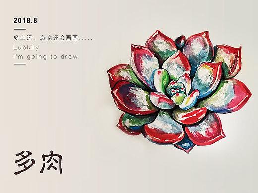 (插画+转手绘)整理