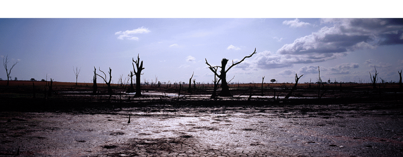 演示动画 双击可观看