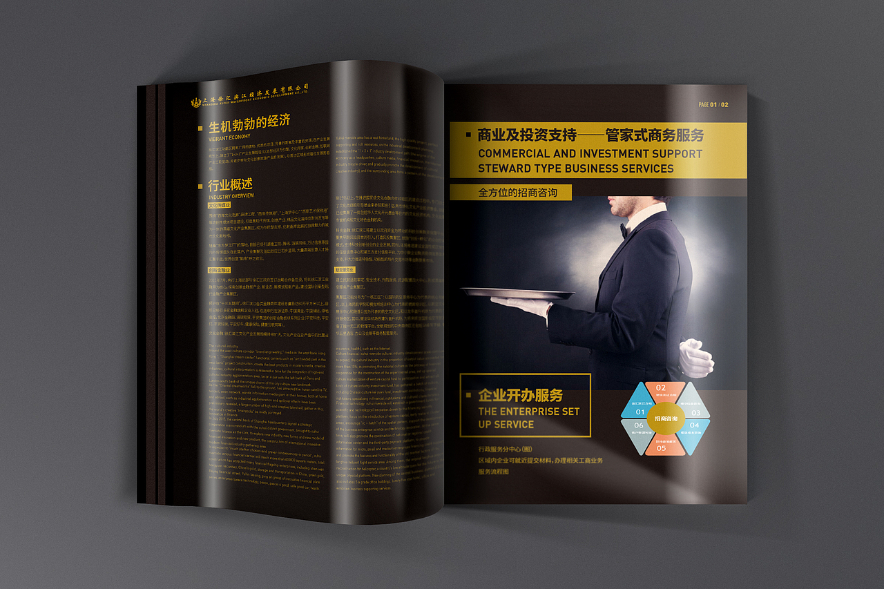 画册合集（图ZNDMwNjU4OTY=） - 书籍/画册 - 站酷设计师九合龙大原创素材 - 站酷ZCOOL