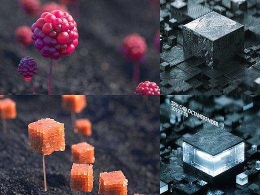 C4D OC 练习七 芯片 3s 次表面散射 植物 附工程文件