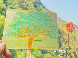 《在树下浪费光阴》