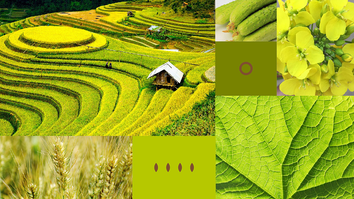 鲜局-品牌及包装 X 张晓宁