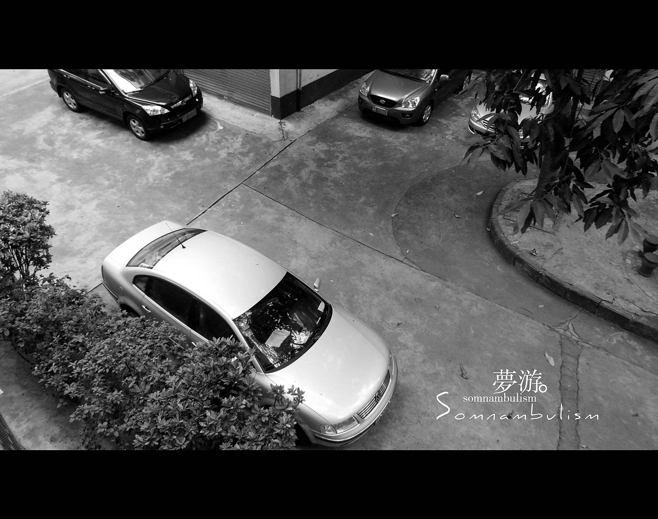 梦里不知身是客。（图ZMjczMTk1NjQ=） - 人文/纪实摄影 - 站酷设计师琴酒小筑原创素材 - 站酷ZCOOL
