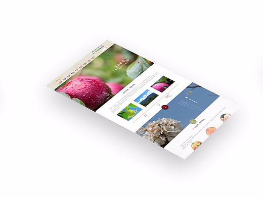 梨山水果專題頁（個人主頁-ZMjUxODYwODg=） - 運營設(shè)計 - 站酷設(shè)計師璿璿璇原創(chuàng)素材 - 站酷ZCOOL