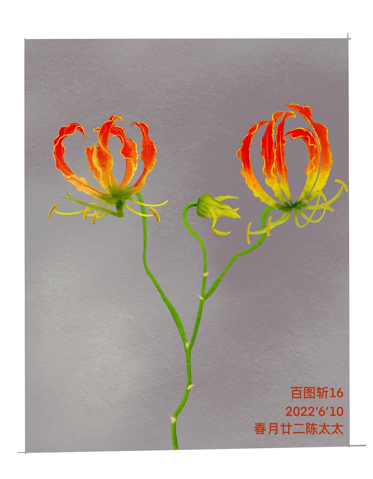 百图斩16-花（图ZMzA0NDU5MzEy） - 创作习作 - 站酷设计师春月廿二_陈太太原创素材 - 站酷ZCOOL