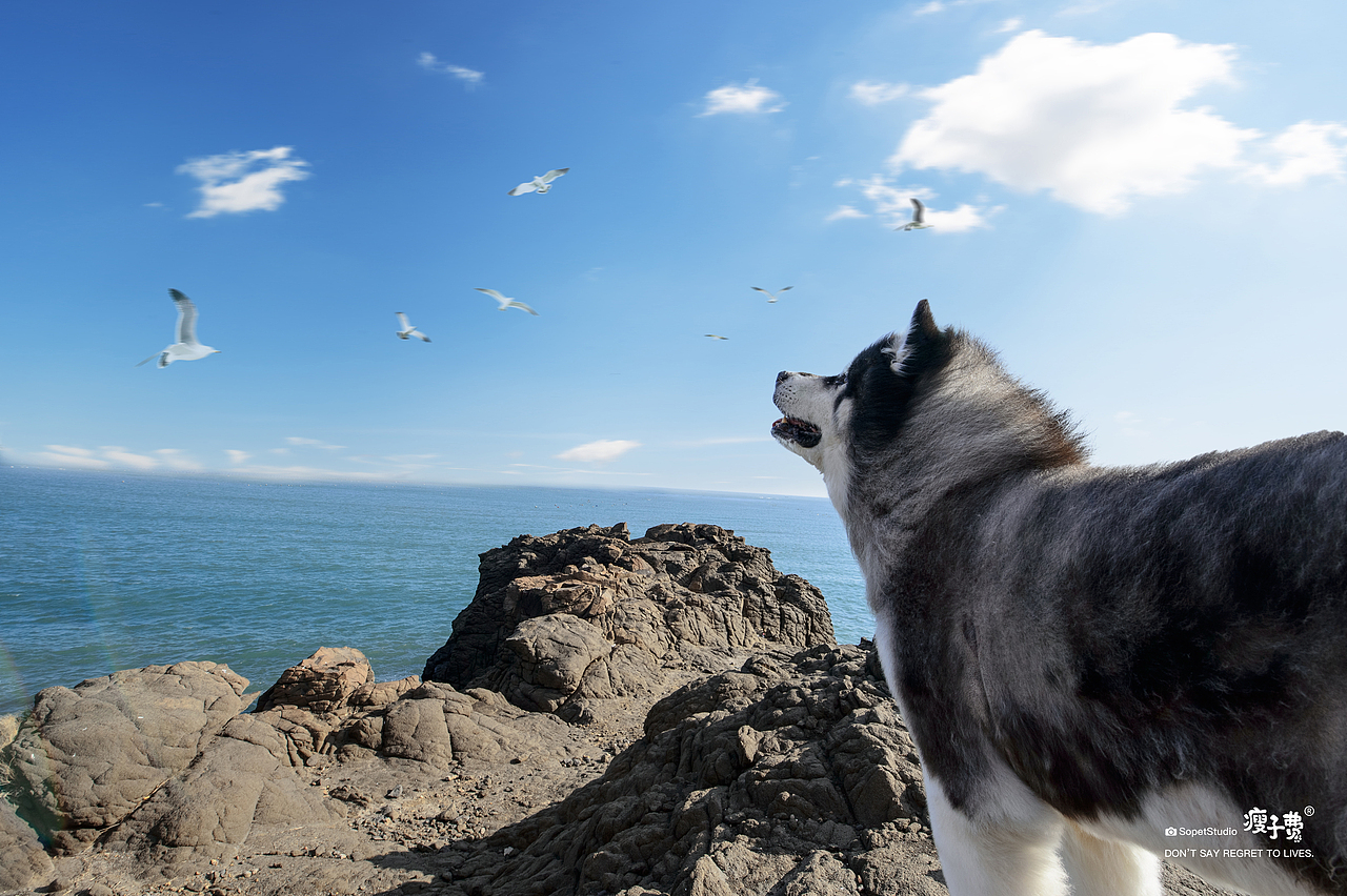 瘦子费 | 『厦门站』