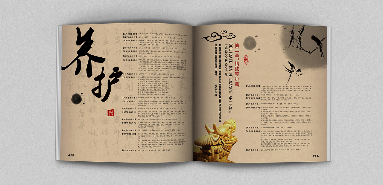 极草康源 化妆品 画册 中国风