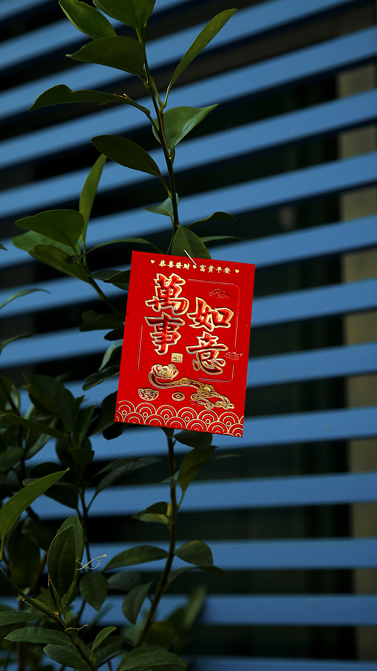 三亚の西岛&天涯镇