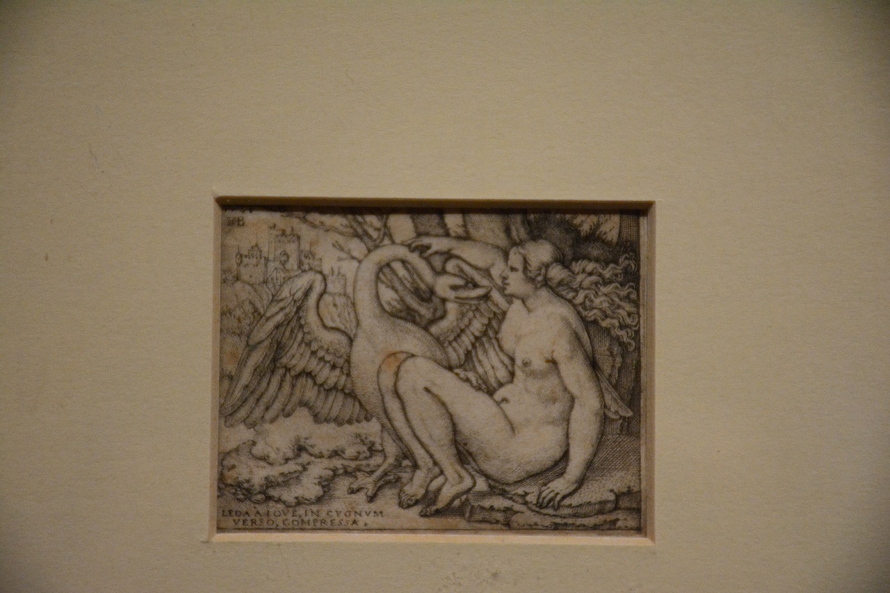 文艺复兴时期作品展（图ZMTAzNTU0MDgw） - 其他摄影 - 站酷设计师ws211211原创素材 - 站酷ZCOOL
