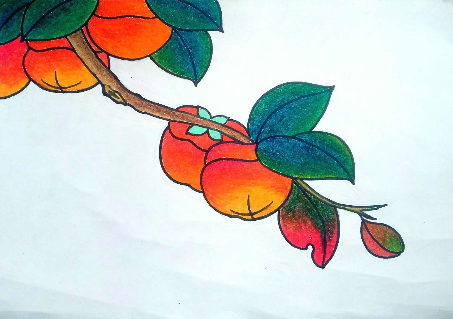 树上的柿子简笔画 - 制作系手工网