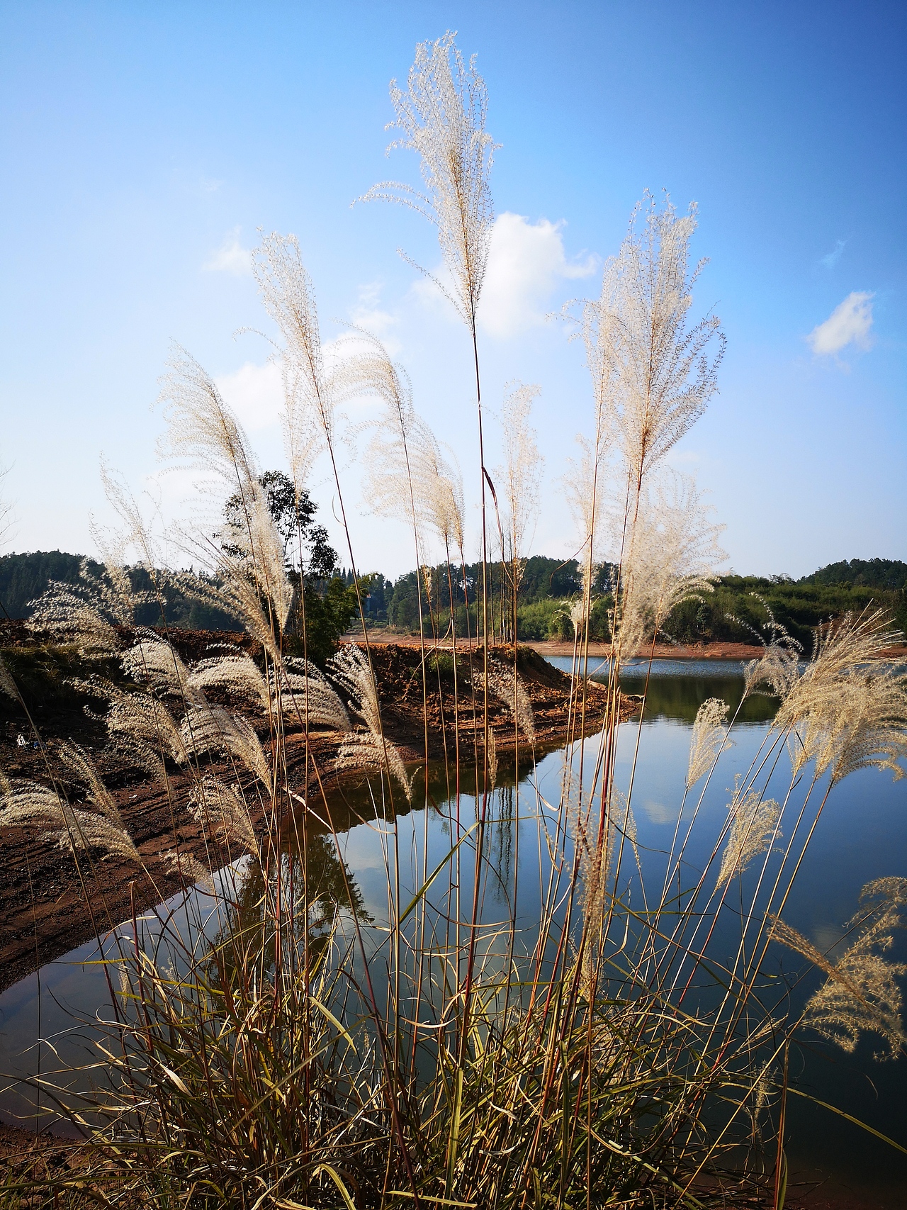红帽子南川黎香湖皮划艇基地元旦首划（图ZMTQyODYyMTAw） - 风光摄影 - 站酷设计师左I可原创素材 - 站酷ZCOOL