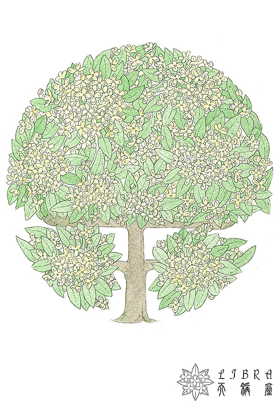 星座花语（图ZMjA2NTgxNDg=） - 艺术插画 - 站酷设计师jdkk原创素材 - 站酷ZCOOL