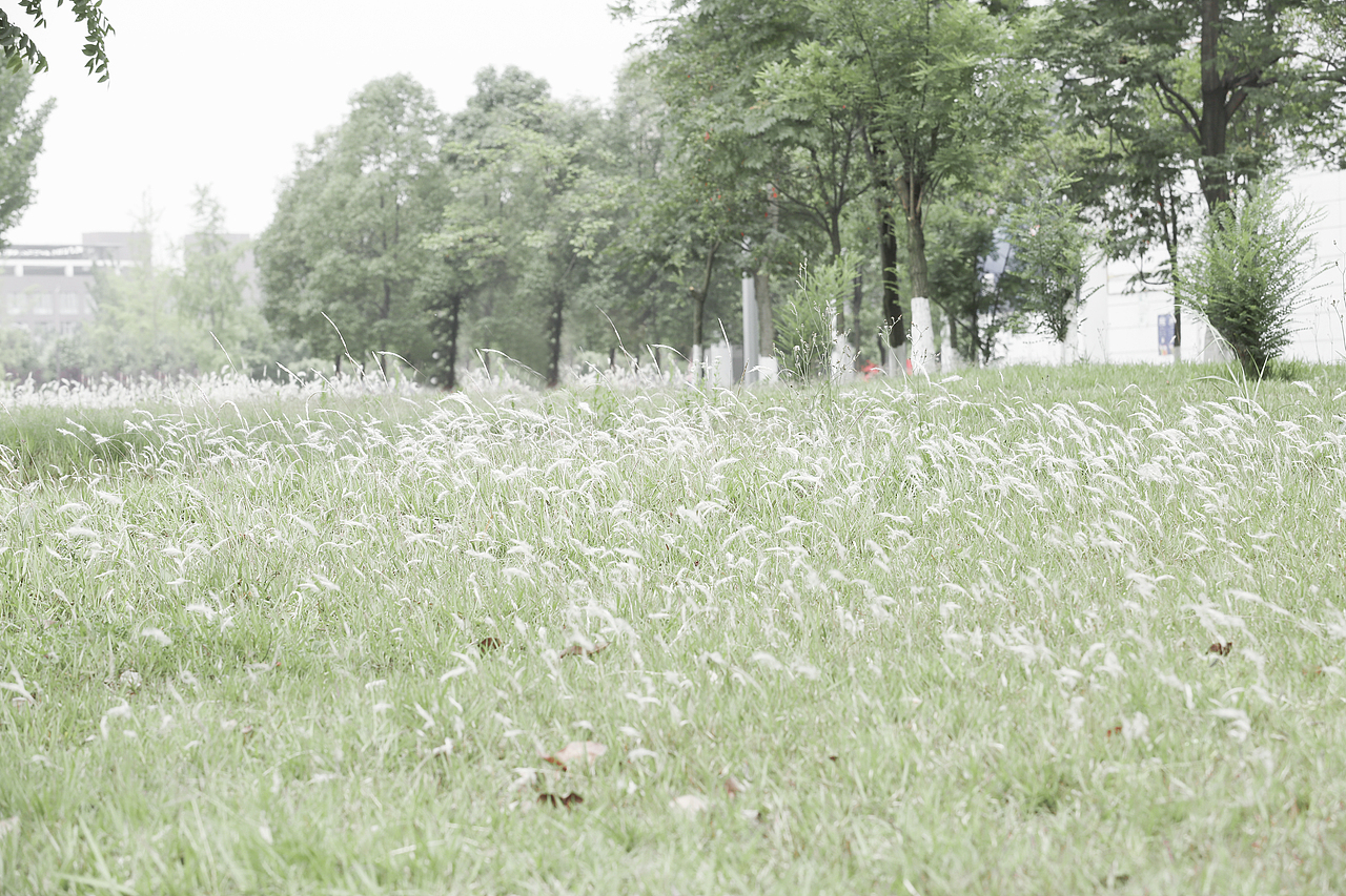 斑鸠鸠—人像摄影