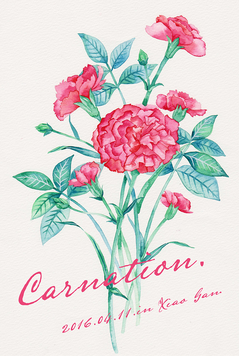 三木花草~婚礼桌签集合（图ZNDY1MzU3MjQ=） - 商业插画 - 站酷设计师吴都Jasmine原创素材 - 站酷ZCOOL