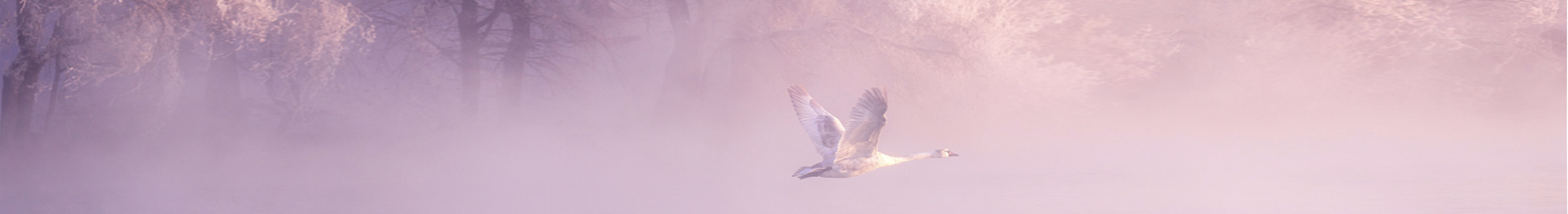 懿沫moo的个人主页（封面预览） - 主页封面设置 - 站酷设计师懿沫moo原创素材 - 站酷ZCOOL