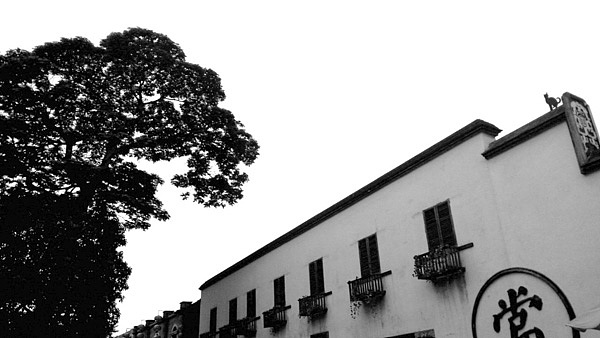 淘宝摄影,石家庄淘宝摄影,皮草摄影,石家庄摄影