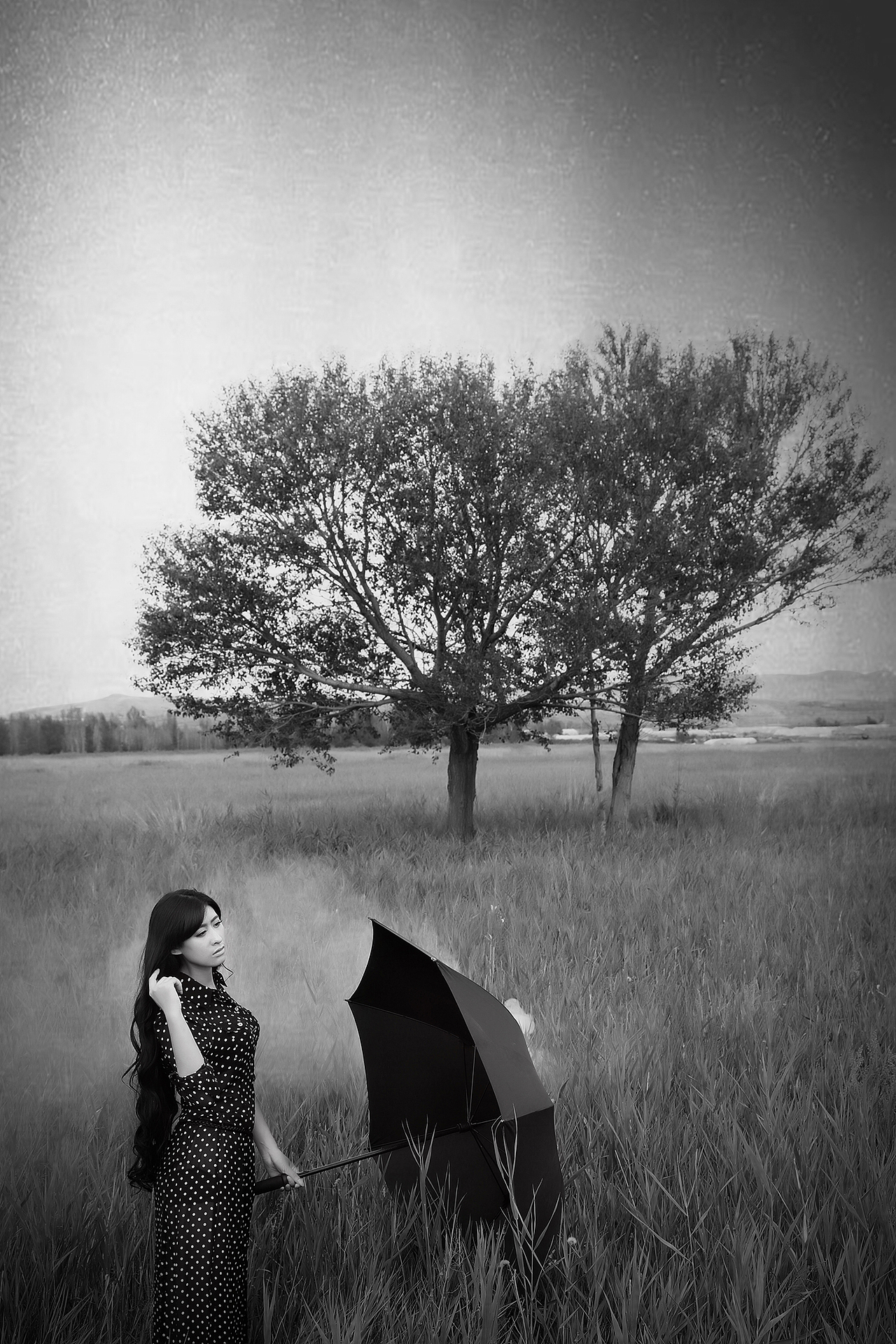 【静】—人像写真篇