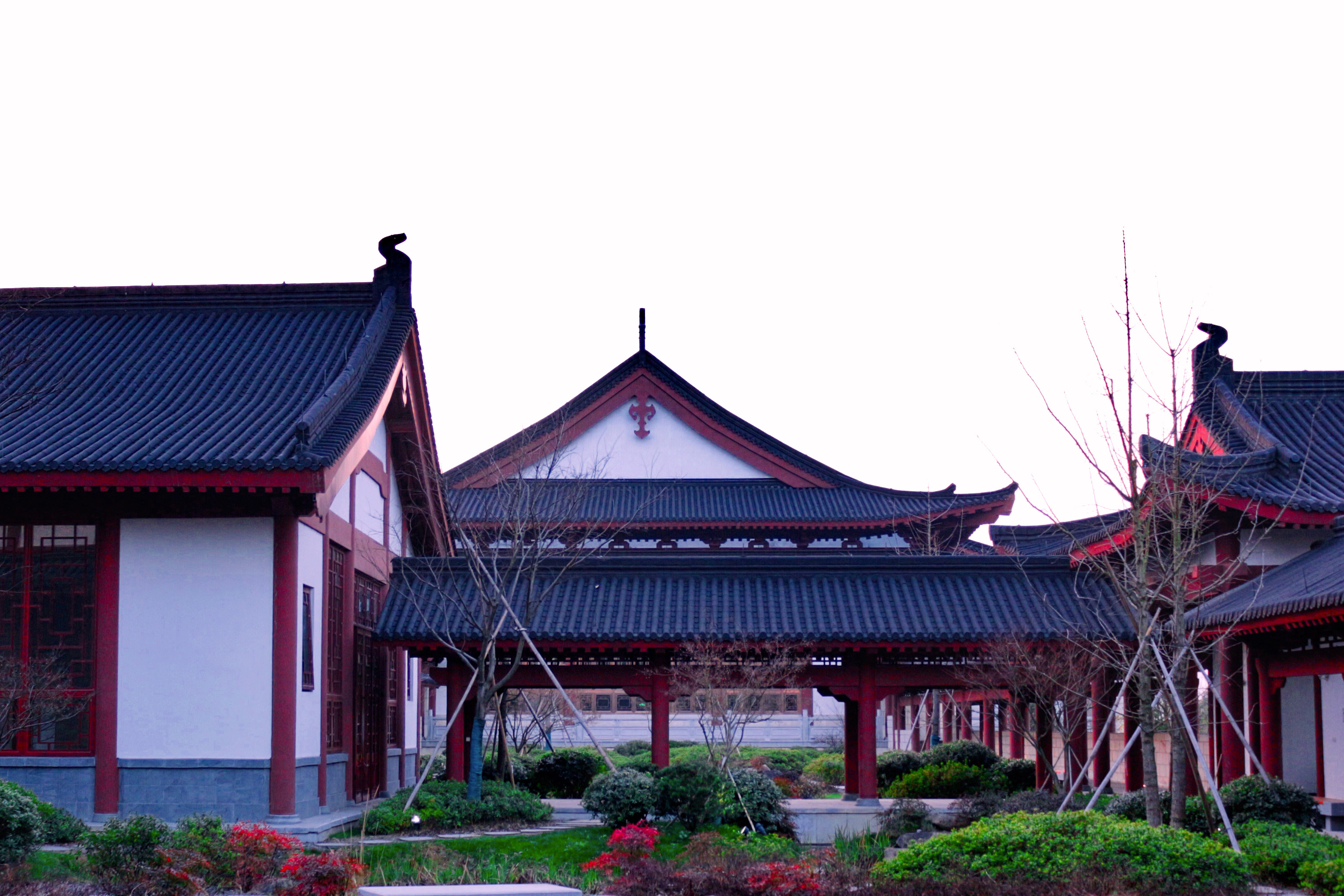 拍一组求是大讲堂