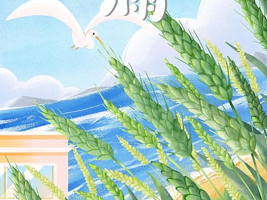 节气插画海报