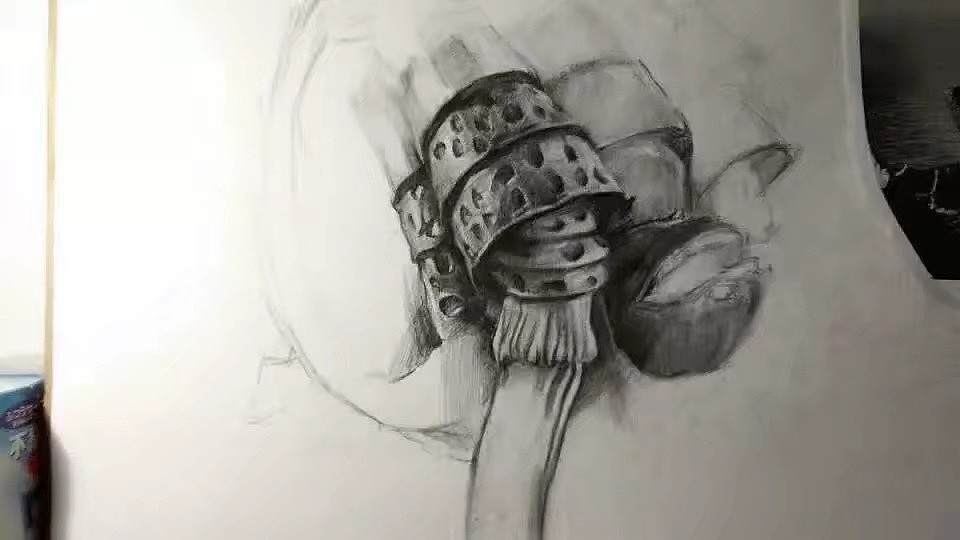 加坦杰厄致敬童年