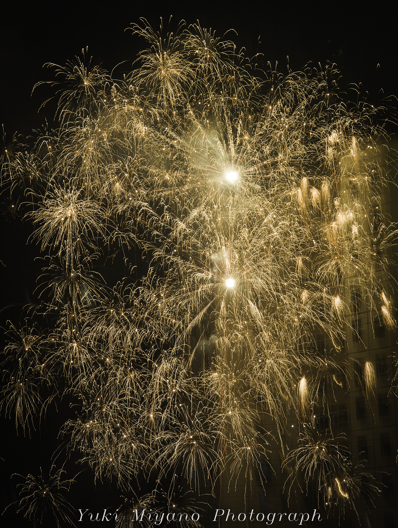 新春礼花（图ZNDE2NDA1NDg=） - 环境/建筑摄影 - 站酷设计师Yuki_Miyano原创素材 - 站酷ZCOOL