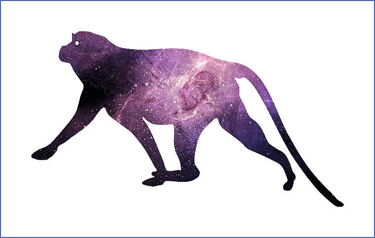 18个动物星空重叠图形妙趣