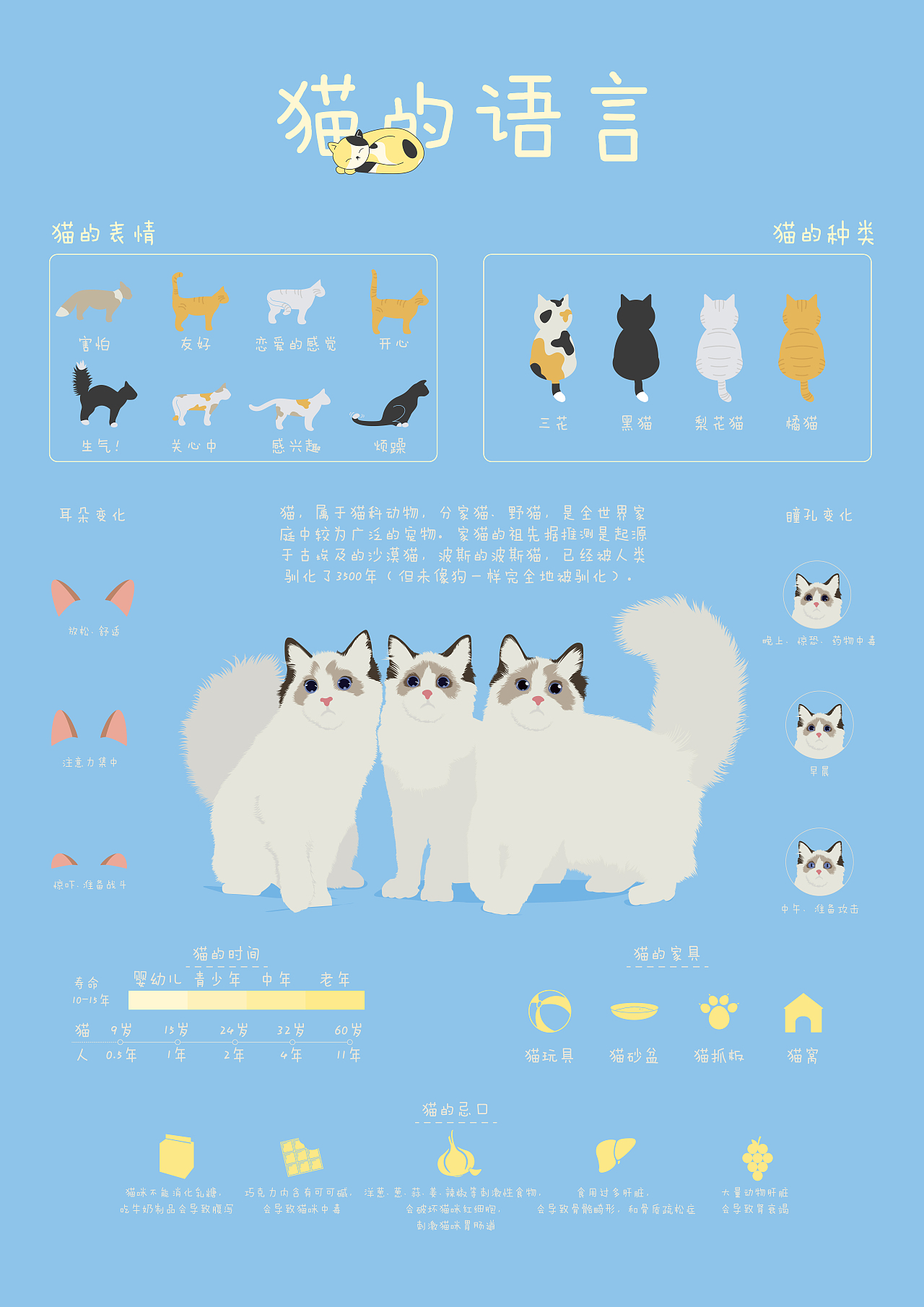 猫的语言（图ZMTkyNzM2MTA4） - 信息图表 - 站酷设计师风萧萧萧萧原创素材 - 站酷ZCOOL