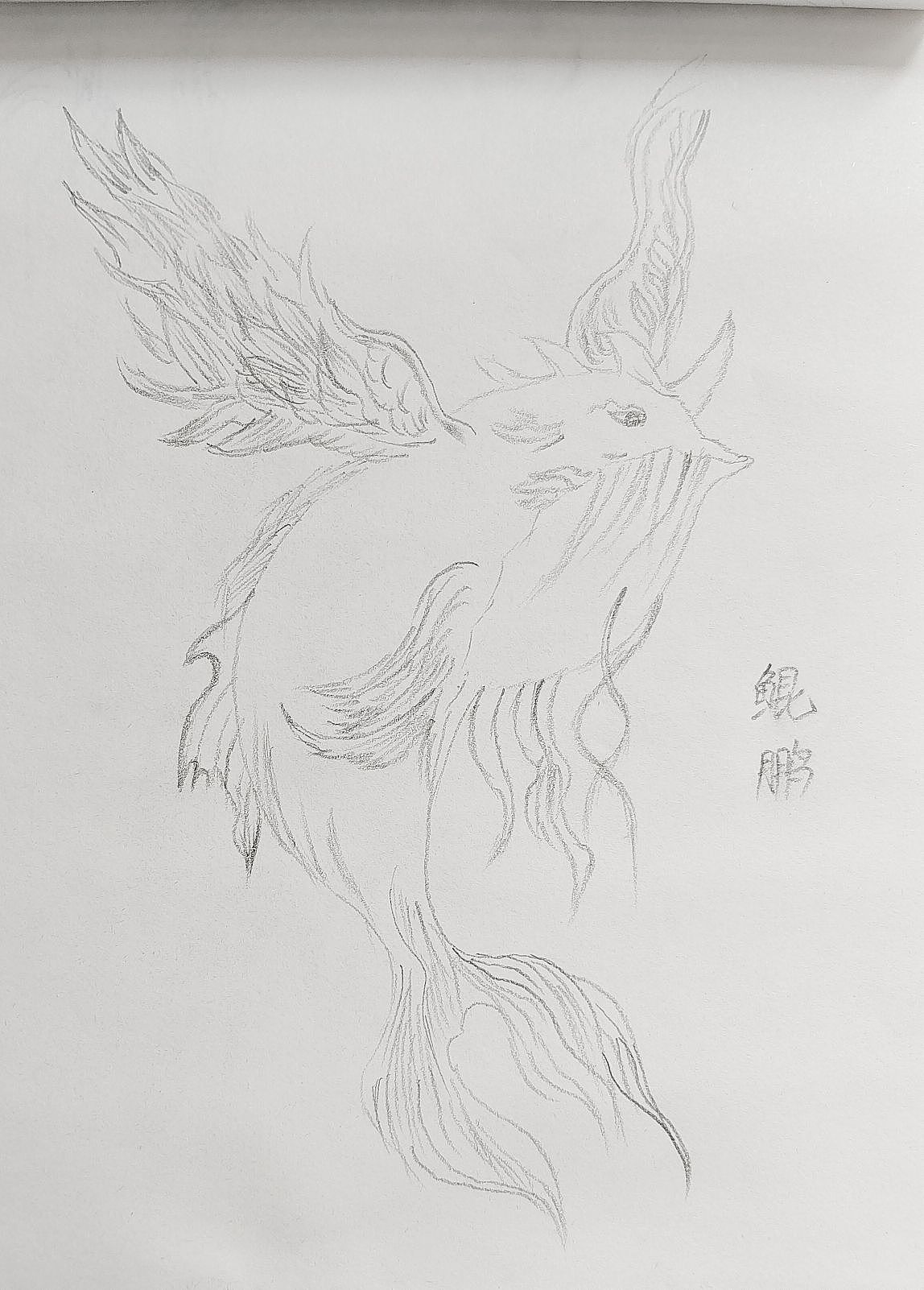 手绘(图一娃娃奶奶画的,哈哈哈,)