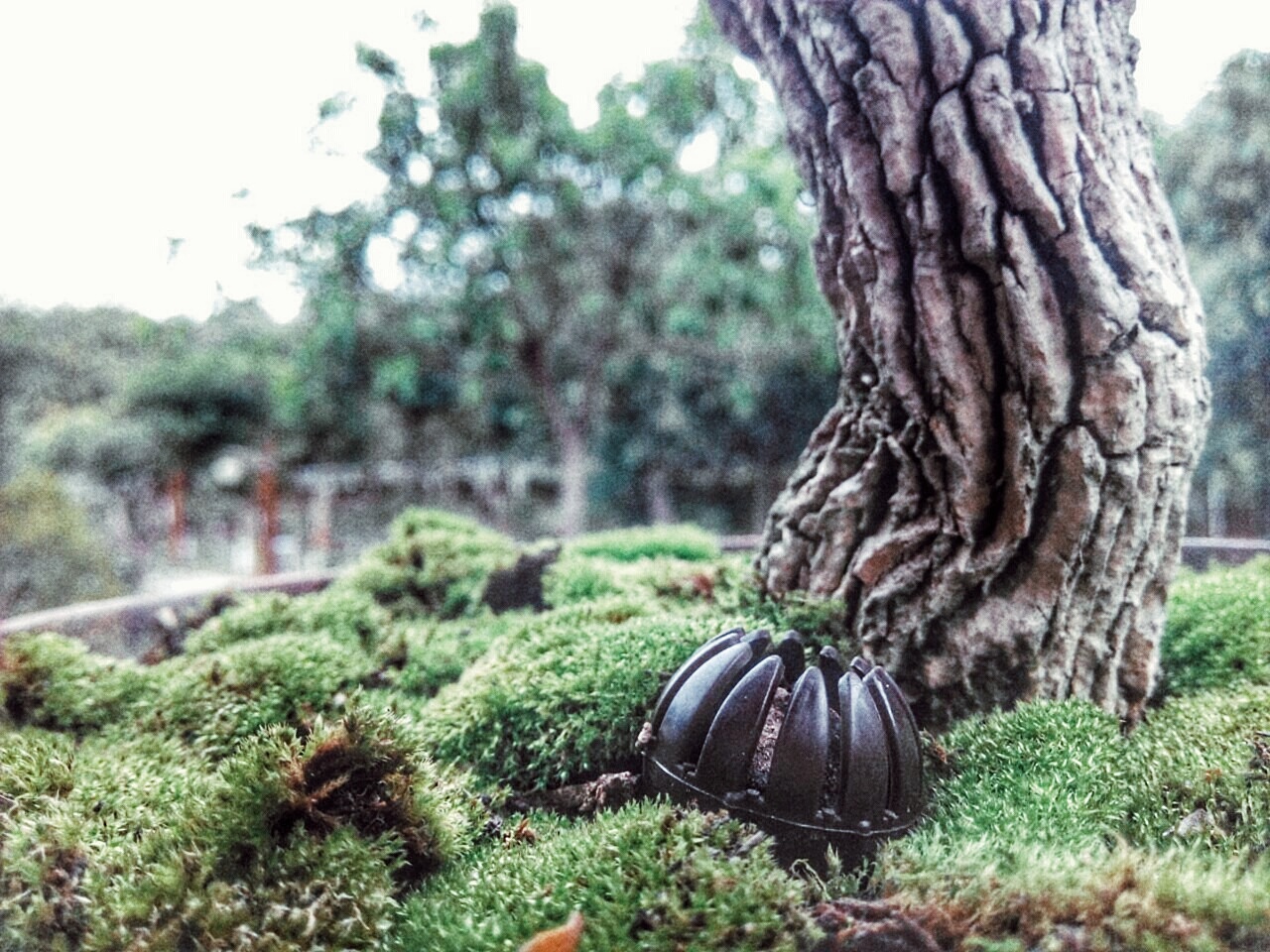 记录自己的生活