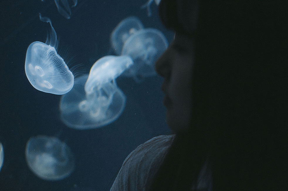 蓝色大海的传说