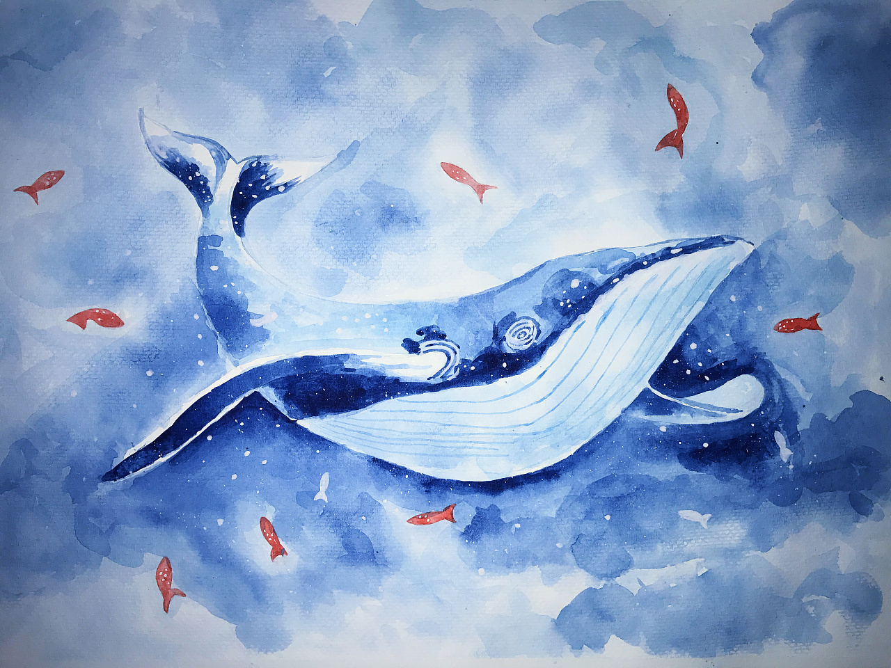 卡通鯨魚圖片 – 鯨魚圖 – Tazinsi