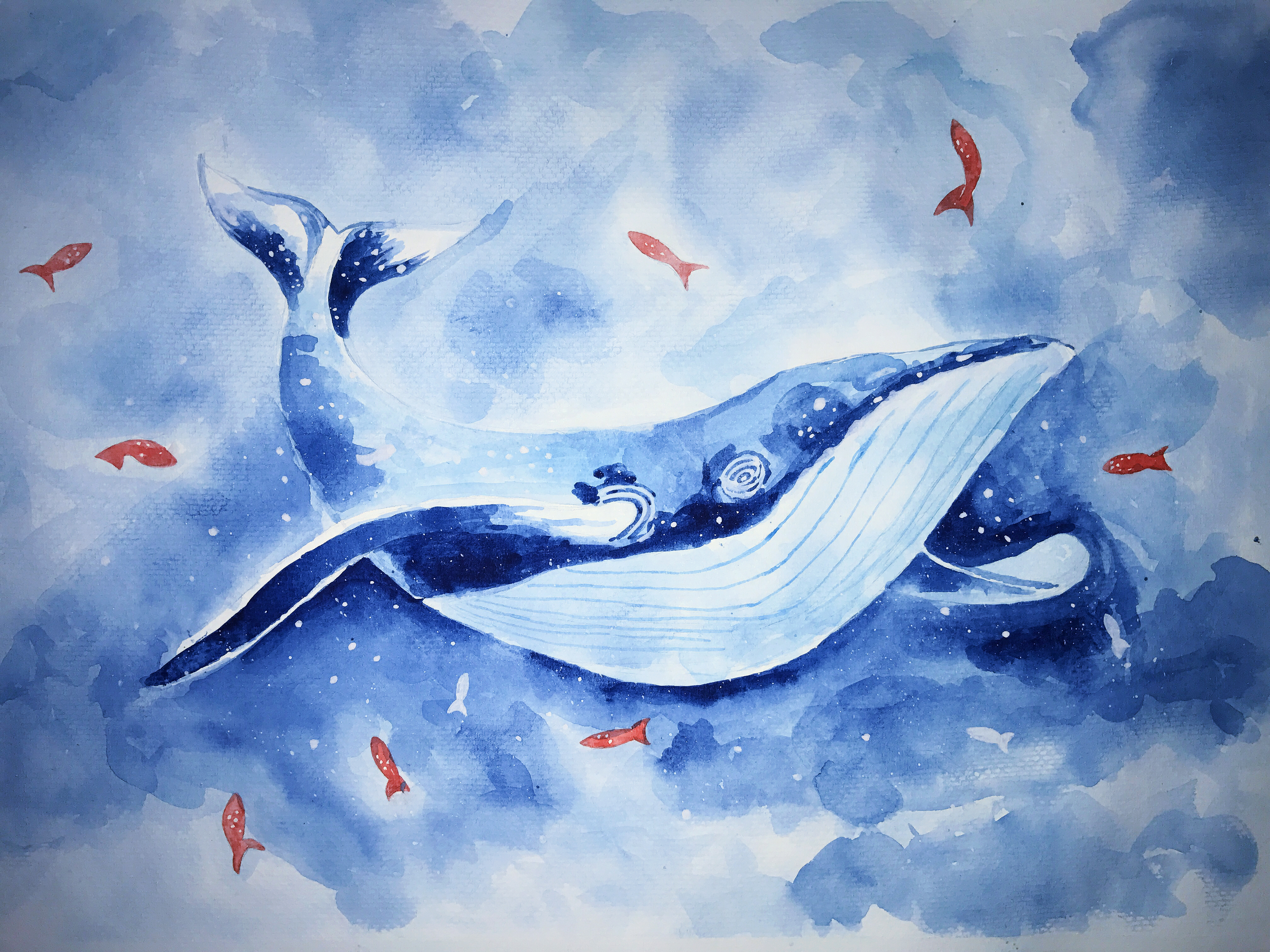 鲸鱼图片唯美绘画水彩图片